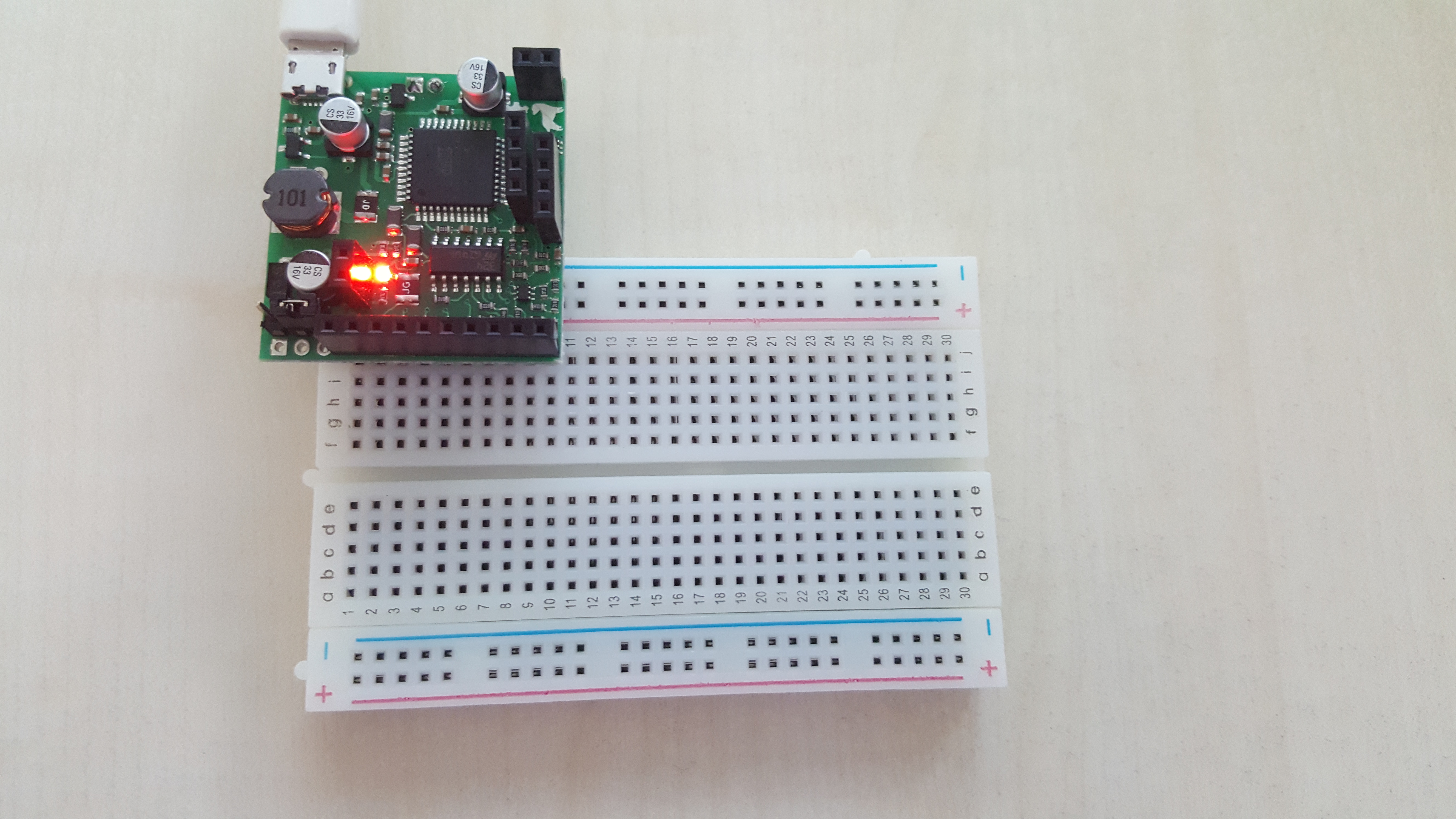 Plugging the Labrador on a breadboard